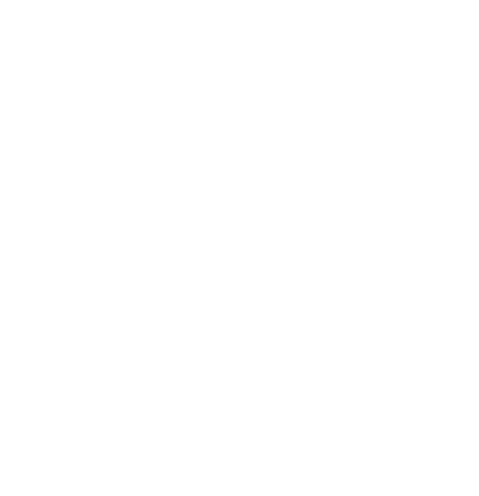 NavexLogo